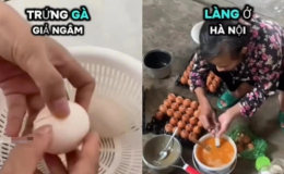 Thực hư thông tin xuất hiện trứng gà giả ở trong nước, giá thành tại các trang trại gây xôn xao