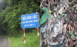 Rợn người thi thể trơ xương dưới vực đèo Bảo Lộc, người dân đi hái rau gặp cảnh tượng ám ảnh