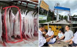 Cơ quan chức năng tuyên bố nóng về hình ảnh heo đầy đốm lạ của ‘người tố C.P Việt Nam’ tung thêm gây chấn động