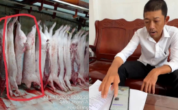 Ông Liễu Quý Ngân tiết lộ sốc vụ heo bệnh, công khai danh tính người lạ mặt đến nhà đòi livestream