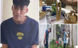 Diễn biến mới vụ thanh niên 2003 dám cả gan ăn trộm hơn 4 cây vàng cùng nhiều tiền mặt ở Thanh Hóa