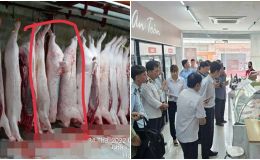 Công ty C.P Việt Nam nói gì sau khi có kết quả điều tra vụ tố bán heo bệnh ra thị trường?