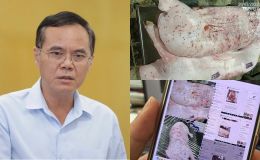 Lộ diện người đóng dấu kiểm dịch sai với heo bệnh Công ty C.P, bất ngờ lời khai và hình thức xử lý