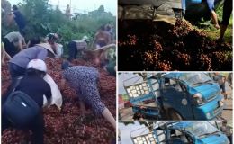 CĐM tranh cãi gay gắt vụ tài xế dân tộc vùng cao bị người dân thi nhau cướp vải ở Thanh Oai, Hà Nội