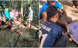 Chấn động Indonesia: Phát hiện thi thể người đàn ông trong bụng con trăn dài 9m sau khi cho gà ăn