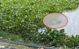 NÓNG: Đang vớt thi thể cô gái nhảy cầu, lực lượng chức năng sốc nặng khi phát hiện thêm 1 thi thể nam giới