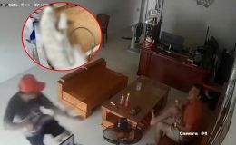 Hải Phòng: Đang ngồi trong nhà, người đàn ông bị kẻ lạ chém lìa tay, camera ghi lại toàn bộ diễn biến sốc