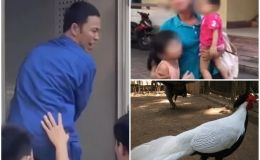 Diễn biến mới nhất vụ lĩnh 6 năm tù vì buôn gà lôi trắng: Gia đình làm đơn xin giảm nhẹ hình phạt 