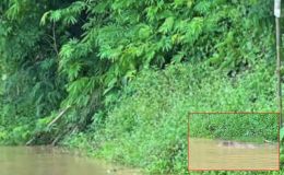 Sau bão số 5, phát hiện 2 thi thể trong hồ thủy điện tại Nghệ An: 1 nữ giới, 1 người chưa rõ danh tính