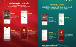 Cách nhanh nhất để 100.000 đồng tiền an sinh xã hội dịp 2/9 trên VNeID theo từng ngân hàng
