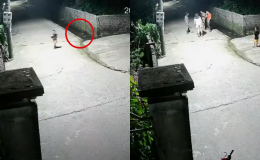 Clip em bé ngã xuống mương nước, anh trai nhỏ tuổi có hành động nhanh trí cứu em trong gang tấc