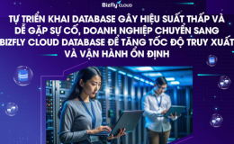 Doanh nghiệp chuyển sang Bizfly Cloud Database để tăng tốc độ truy xuất và vận hành ổn định