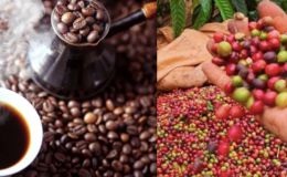 Giá cà phê hôm nay 17/10: Giá nội địa tiếp tục bứt phá, Robusta lập đỉnh mới trong tháng