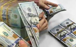 Tỷ giá USD hôm nay 18/10: Đồng bạc xanh phục hồi nhẹ, tỷ giá USD trong nước điều chỉnh trái chiều