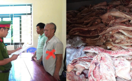 Phát hiện gần 38 tấn thịt lợn nhiễm dịch tả sắp bán ra thị trường: Bắt giữ chủ cơ sở tại Phú Thọ, xử lý ra sao?