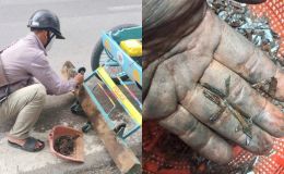 CSGT cảnh báo vấn nạn 'đinh tặc' tái diễn nhiều lần trên nhiều tuyến đường: Phát hiện báo cho ai?