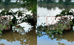 Vụ phát hiện thi thể cô gái 17 tuổi mắc trên cành cây: Xé lòng khi biết nguyên nhân tử vong