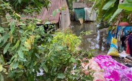 Hoàn cảnh gia đình khó khăn của hai mẹ con nghi bị điện giật tử vong do ngập nước ở Đồng Tháp