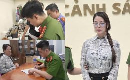 Vụ Trương Ngọc Ánh bị bắt: Vì sao giao dịch từ gần 20 năm trước nay vẫn bị xử lý hình sự?