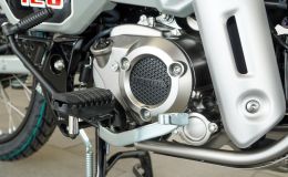 Honda chính thức mở bán ‘vua xe số’ 125cc mới tại Việt Nam: Đẹp át vía Wave Alpha và Future, giá mềm