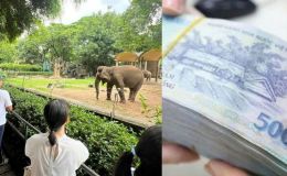 Vụ vườn thú từng bị ‘sờ gáy’ vì nợ thuế, hé lộ doanh thu khủng