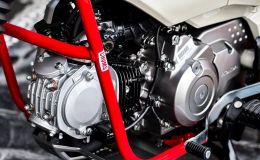 ‘Vua xe số’ 125cc mới nhập Thái của Honda về Việt Nam, đỉnh hơn cả Wave Alpha và Future, giá hấp dẫn