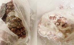 Công an vào cuộc vụ phụ huynh Hà Nội phát hiện thực phẩm nghi ôi thiu ở bếp ăn trường học: Hệ thống cung ứng bất thường