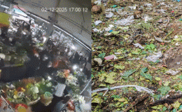 Vụ nổ ở chợ Đà Nẵng: Camera ghi lại cảnh tượng người dân tháo chạy, có người trên mặt dính máu