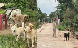 Vụ bé trai 6 tuổi ở Gia Lai tử vong khi giấu việc bị chó cắn: Gia đình sốc nặng khi mất con mãi mãi