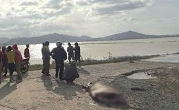 Tai nạn thương tâm tại Đắk Lắk: Mẹ và con gái 6 tuổi tử nạn khi đi hái cà phê, hé lộ hiện trường