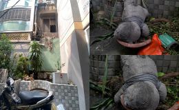 Câu nói khiến cô gái liều mình nhảy từ tầng 3, thoát chết thần kỳ trong vụ cháy quán ốc thương tâm ở TP.HCM