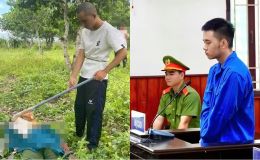 Nghịch tử sát hại mẹ rồi phi tang, bình tĩnh bán gia súc lấy tiền chơi game, lời khai gây phẫn nộ