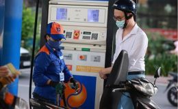 Giá xăng dầu hôm nay 15/12: Giá xăng dầu trong nước giảm mạnh sau đà lao dốc toàn cầu