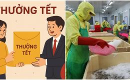 Cà Mau: Tiết lộ mức thưởng Tết 2026 cao nhất người lao động có thể nhận được