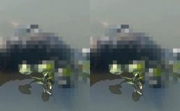 Rùng mình thi thể nam giới mất đầu trên sông Sài Gòn, chưa rõ danh tính