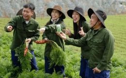 Hậu trường kiểm định thực phẩm, cựu cán bộ VPCP lộ vai trò trong vụ tiền tỷ liên quan kẹo Kera sữa Hiup