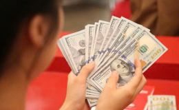 Tỷ giá USD hôm nay 20-12: đồng USD tăng nhẹ