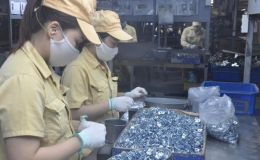 Tuổi nghỉ hưu 2026 thay đổi bất ngờ: Tra cứu ngay theo năm sinh để bảo vệ quyền lợi