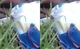 Phát hiện thi thể khô hóa, lõa thể gần trạm thu phí cầu Phú Mỹ, công an ra thông báo khẩn