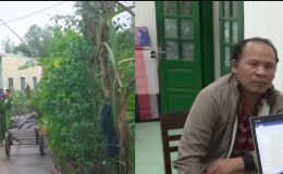 Rùng mình vụ cháu trai ra tay sát hại chú ruột 81 tuổi dã man, hé lộ nguồn cơn sự việc đau lòng