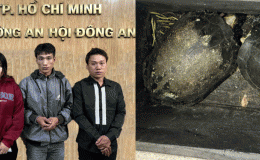 Chuyện hy hữu: Công an làm việc vụ 4 anh em ruột rủ nhau ăn trộm rùa tại chùa Chiêm Phước mang bán