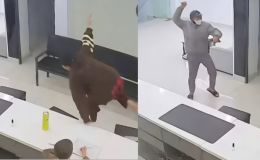 Clip nữ nhân viên liều mình truy đuổi kẻ cướp điện thoại tay cầm dao, con nhỏ khóc thét khi chứng kiến