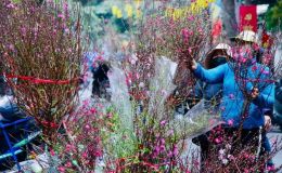 Dự báo mới nhất thời tiết Tết Nguyên đán 2026: Miền Bắc đối mặt rét đậm rét hại, mưa lớn có xuất hiện đúng kỳ nghỉ?