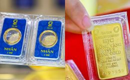 Giá vàng hôm nay 21/1 biến động dữ dội, thị trường trong nước bứt phá mạnh, vàng thế giới lập đỉnh lịch sử chưa từng có