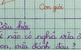Từ tiếng Việt vừa có nghĩa là đồ ăn, vừa hiểu là đánh đau, chuyên gia ngôn ngữ chưa chắc biết