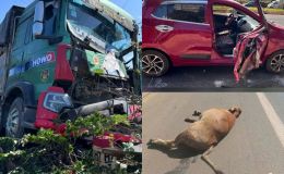 Hiện trường kinh hoàng xe tải ‘điên’ đại náo ở Đắk Lắk: 3 con bò thương vong, ô tô nát đầu