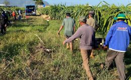 Danh tính người đàn ông tử vong trong vườn thanh long ở Lâm Đồng, người dân kể lại sự tình