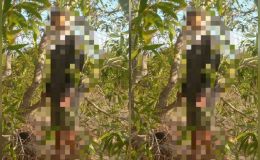 Vụ người đàn ông treo cổ trong rừng tràm ở Lâm Đồng: Hé lộ lá thư tuyệt mệnh và cuộc gọi cuối cùng