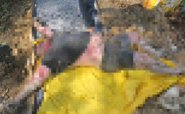 TP.HCM: Một thi thể nam giới được phát hiện ven sông Giồng Ông Tố