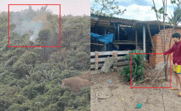 Vụ máy bơi quân sự rơi ở Đắk Lắk: Nam sinh lớp 11 run rẩy khi thấy cảnh mặt phi công bê bét máu